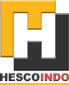 HS-INDO